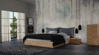 Dream